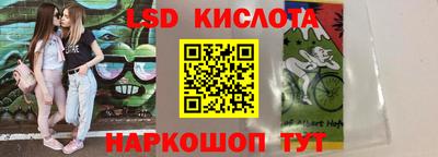 прущие грибы Славгород
