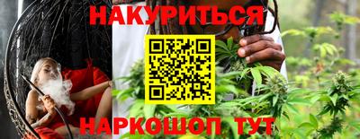 прущие грибы Славгород