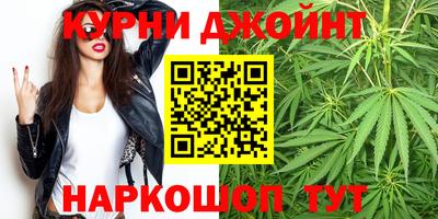 гидра Ставрополь