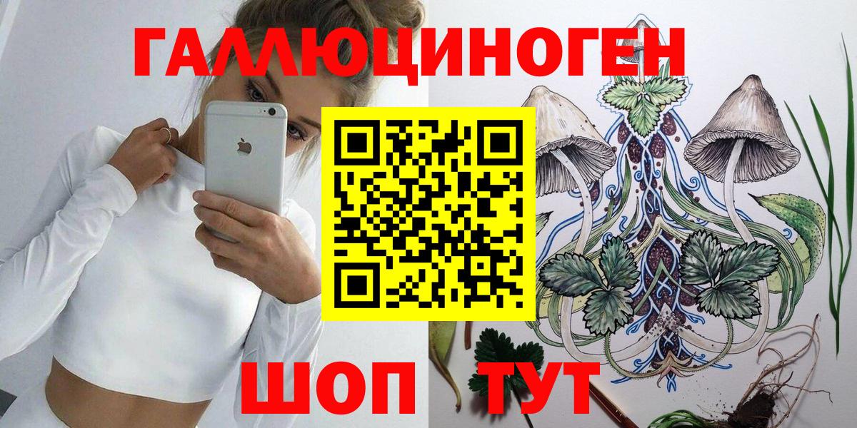 Псилоцибиновые грибы Psilocybe  Вход с VPN  Белебей 